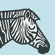 ModTots Animals Zebra Print
