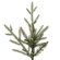 Vickerman Co. Castlerock Frasier Fir 7.5' Artificial Christmas Tree with Warm White LED Lights