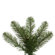 Vickerman Co. Salem Pencil Pine 7.5' Artificial Christmas Tree with Clear Lights