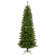 Vickerman Co. Salem Pencil Pine 6.5' Artificial Christmas Tree with Multicolored LED Lights