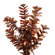 Vickerman Co. Mocha Wide Cut 7.5' Artificial Christmas Tree with Clear Lights in Mocha