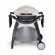 Weber Q Stationary Cart