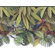 York Wallcoverings York Kids IV Jungle Treetop Border