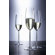 Schott Zwiesel Tritan Diva Drinkware Collection