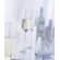 Schott Zwiesel Tritan Pure 7.1 Oz Champagne Flute Glass (Set of 6)