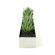 Gus* Modern Rectangular Fruit Trough Planter