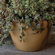 HomArt Mulberry Bowl