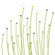 Avalisa Imagination - Dandelion Stretched Wall Art