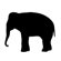 Avalisa Silhouette - Elephant Stretched Wall Art