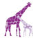 Avalisa Animal - Reticulated Giraffe Stretched Wall Art