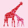 Avalisa Animal - Reticulated Giraffe Stretched Wall Art