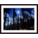 Barewalls Star Bright Wood Framed Art Print