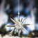 Biedermann and Sons Glass Starburst Ornament