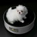 Sleepypod Mini Mobile Pet Bed/Carrier  in Arctic White
