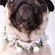 A Pet's World White Ribbon Dog Collar with Petal Flower Rosettes with Pearls