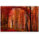 Trademark Global The Red Way by Philippe Sainte-Laudy, Canvas Art - 30" x 47"