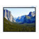 Buhl Innsbruck 70" x 70" Electric Projector Screen - 1:1 Format