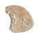 Florim USA Navajo 1" x 1" Quarter Round Beak in Sagebrush
