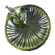 ACHLA Verdant Shell Birdbath