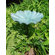 ACHLA Large Lily Leaf Birdbath