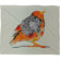 DENY Designs Iveta Abolina Orange Bird Fleece Throw Blanket