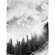 DENY Designs Bird Wanna Whistle White Mountain Duvet Cover