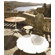 Richard Schultz Petal End Table with Top