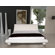 Casabianca Furniture Joy King Platform Bed