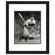 PhotoFile MLB Framed Photo
