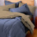 Martex Reversible Bedding Collection
