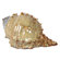 Urban Trends Ceramic Sea Shell Statue