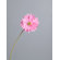Heart to Heart Gerber Daisy Flower Wall Border