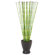 Distinctive Designs Silk Snake Grass in Matte Zen Pot