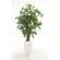 Distinctive Designs Mountain Ash Floor Plant in Vase
