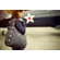 Nest Dexter  Diaper Bag