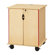 Jonti-Craft KYDZ Lockable Presentation Cart - Rectangular (24" x 23")