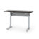 Anthro Ergonomic Elevate II Advanced Electric Lift Table