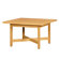 Shain Elementary Four Station "X" Table