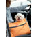 Teafco Argo Pet Avion Medium Airline Approved Carrier in Tango Orange