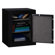 Sentry Safe Executive Fire-Safe