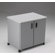 Mayline Group Mobile Utility Cabinet with Steel Exterior