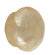 Eastern Accents Capiz Shell Dome Cap