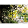 Moroso Rain Table
