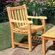 Three Birds Casual Classic Dining Arm Chair