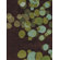 Chandra Rugs Avalisa Rug