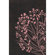 Chandra Rugs Dharma Rug
