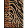 Chandra Rugs Safari Rug