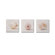Graham & Brown Shell Trio  Box Art - 8" X 24" (Set of 3)
