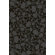 Graham & Brown Barbara Hulanicki Flock Skulls Wallpaper in Black