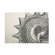 Thomas Paul Bath Shell Mat in Charcoal